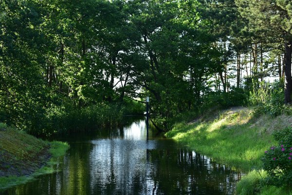 Wat zijn de voordelen van yoga tijdens de zwangerschap?